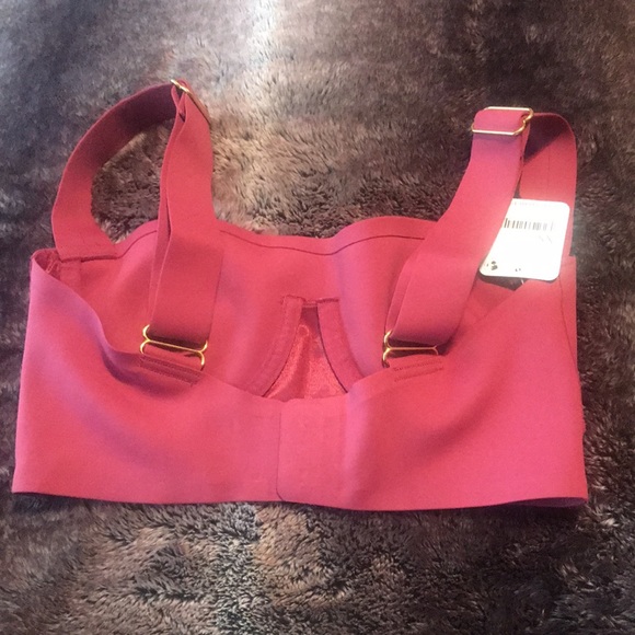 NWT Intimately Free People XS Naomi dried rose longline bra - Picture 5 of 5